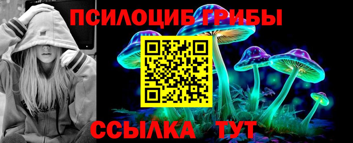 Галлюциногенные грибы Cubensis Сергиев Посад